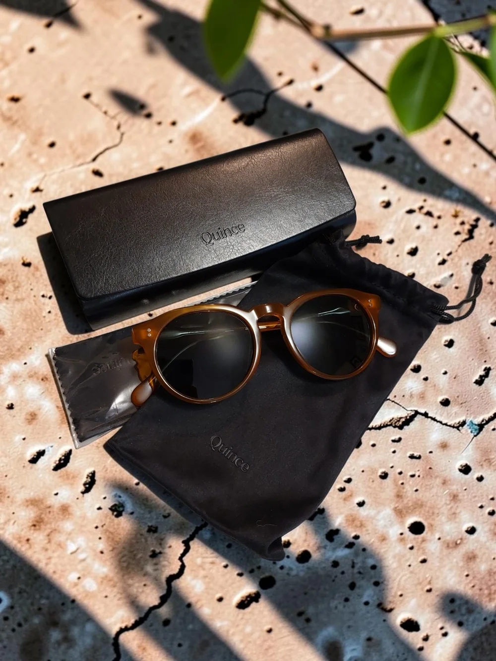 Quince Tahiti Polarized Acetate Sunglasses Honey with Green Lens NIB